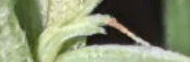 1716254837899