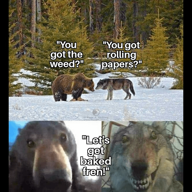 1720551097027