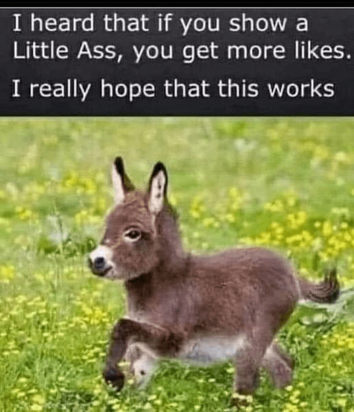 1721774016523