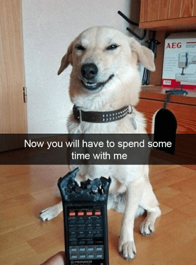 1723056512625