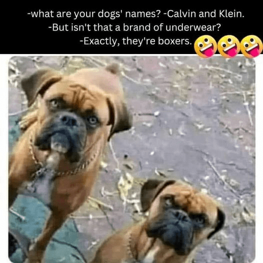1723879227846