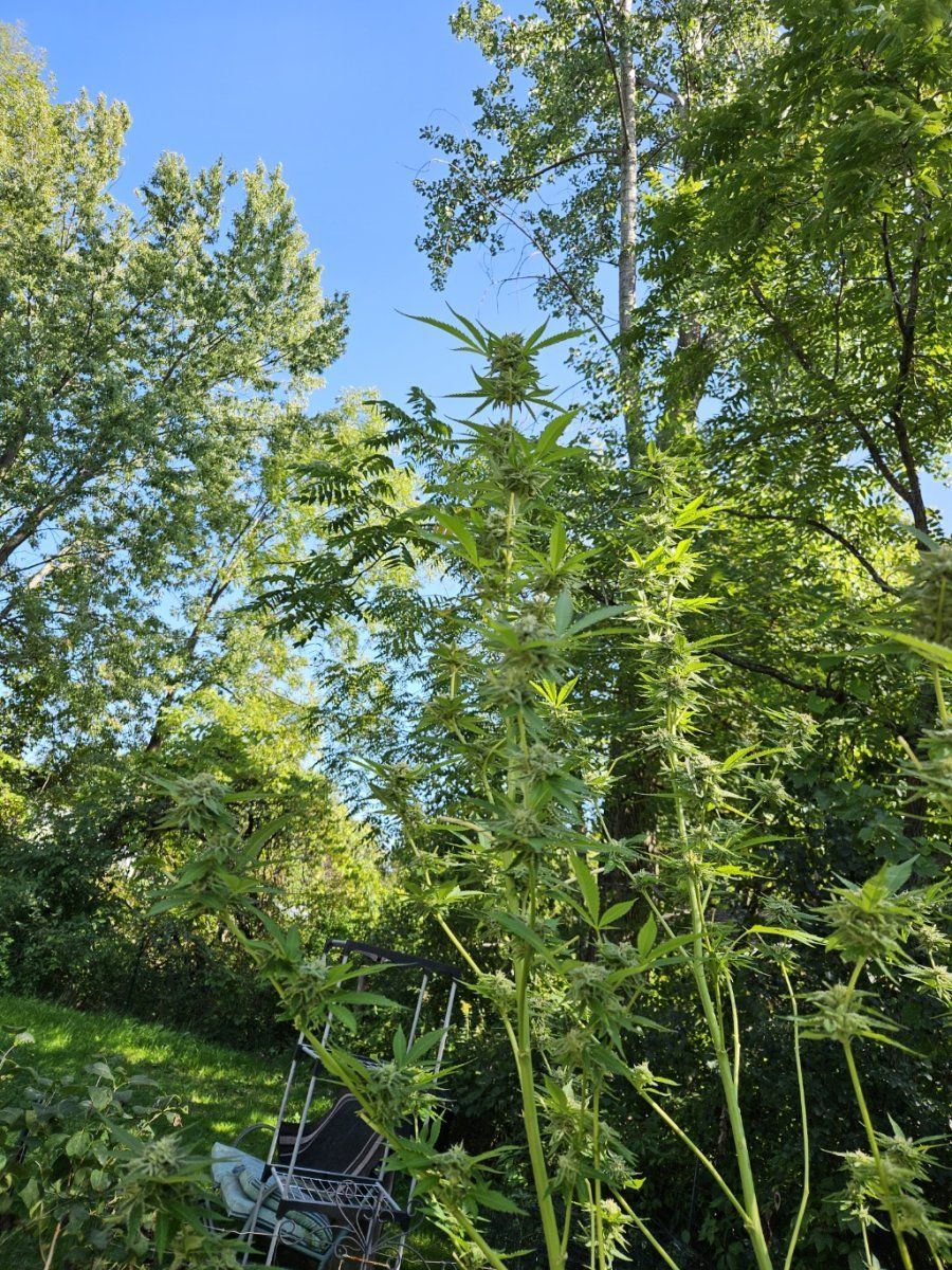 1726229024053