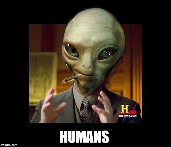 173ofq