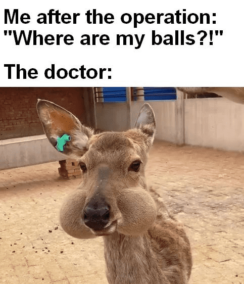 1754655978791