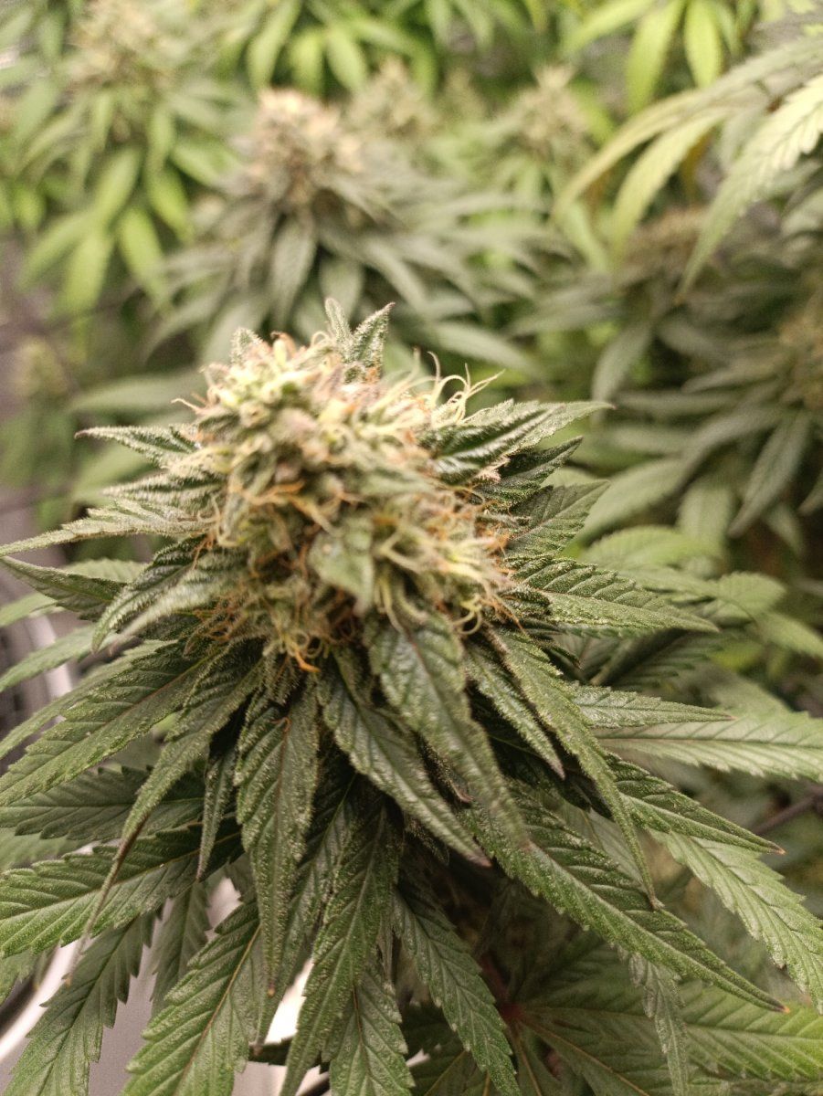 1758912748708