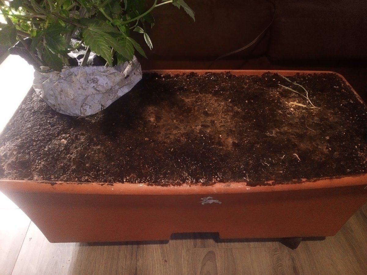 1763431330475