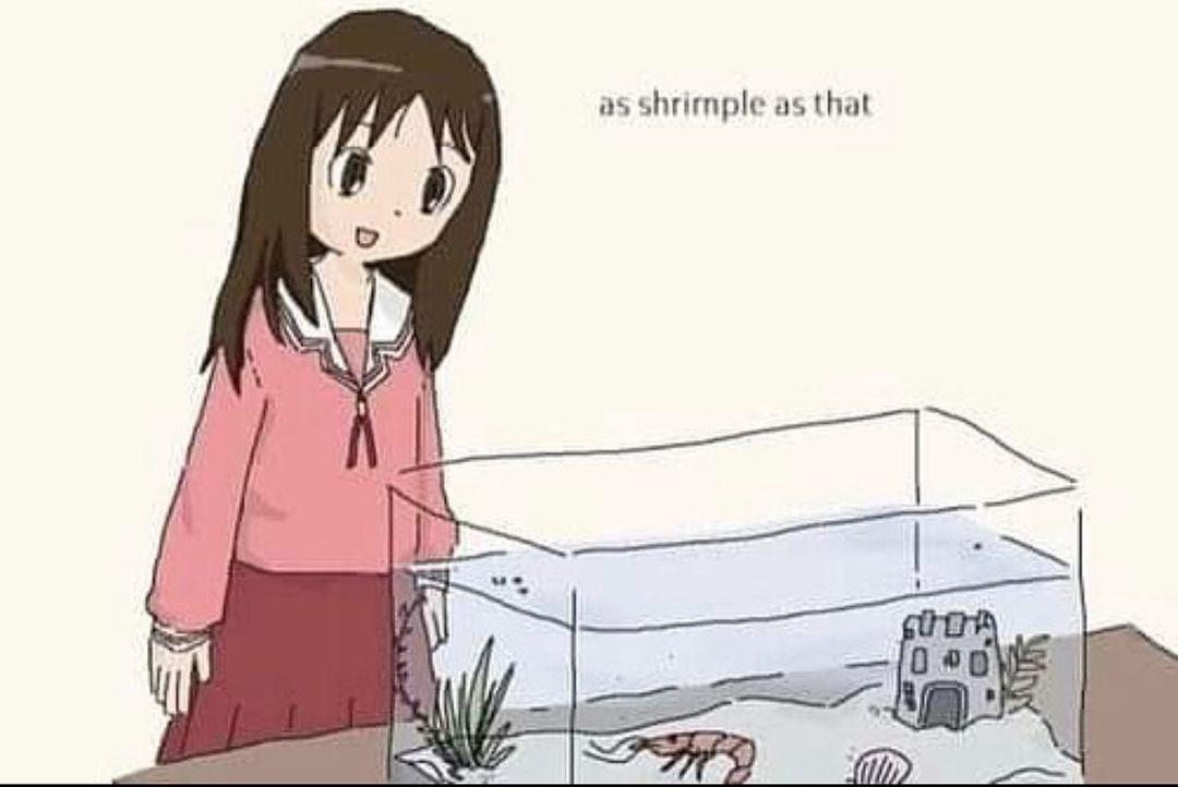 1767453804801123