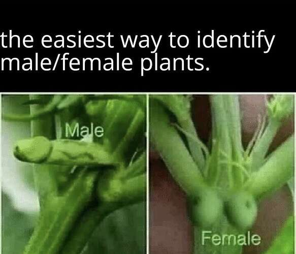 1768684597370