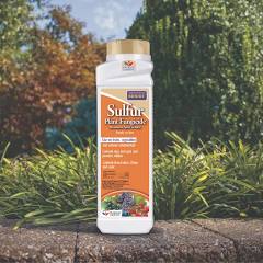 Sulfur Plant Fungicide Dust - Bonide