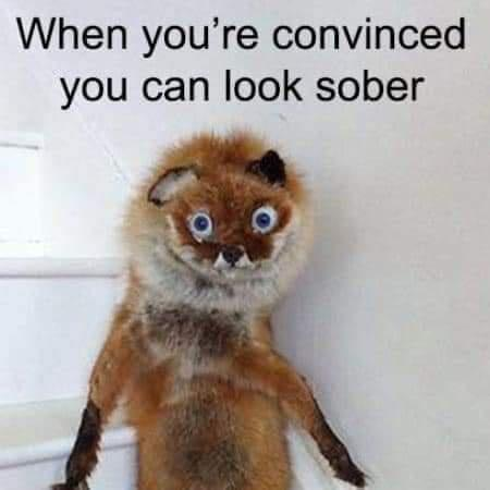 1771772243184