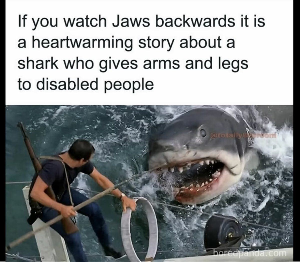 1774031104012