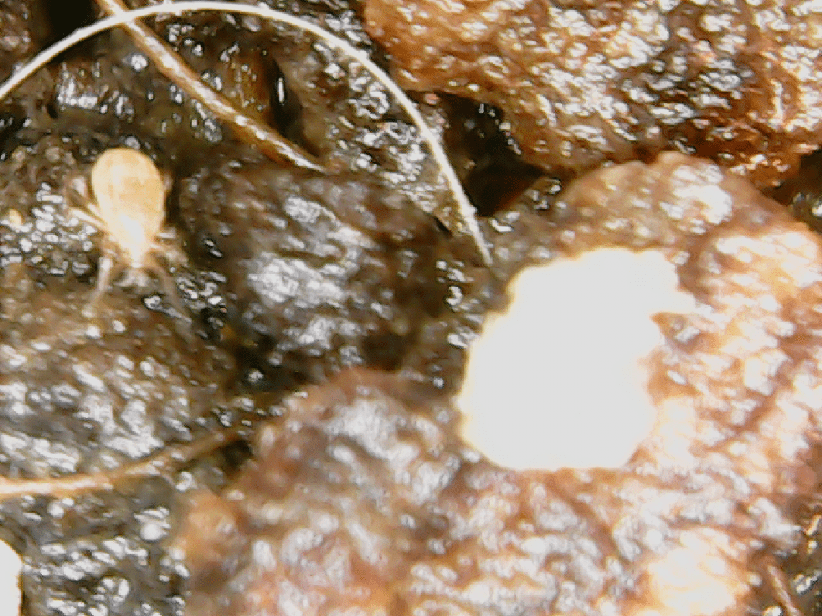19 02 01 224314