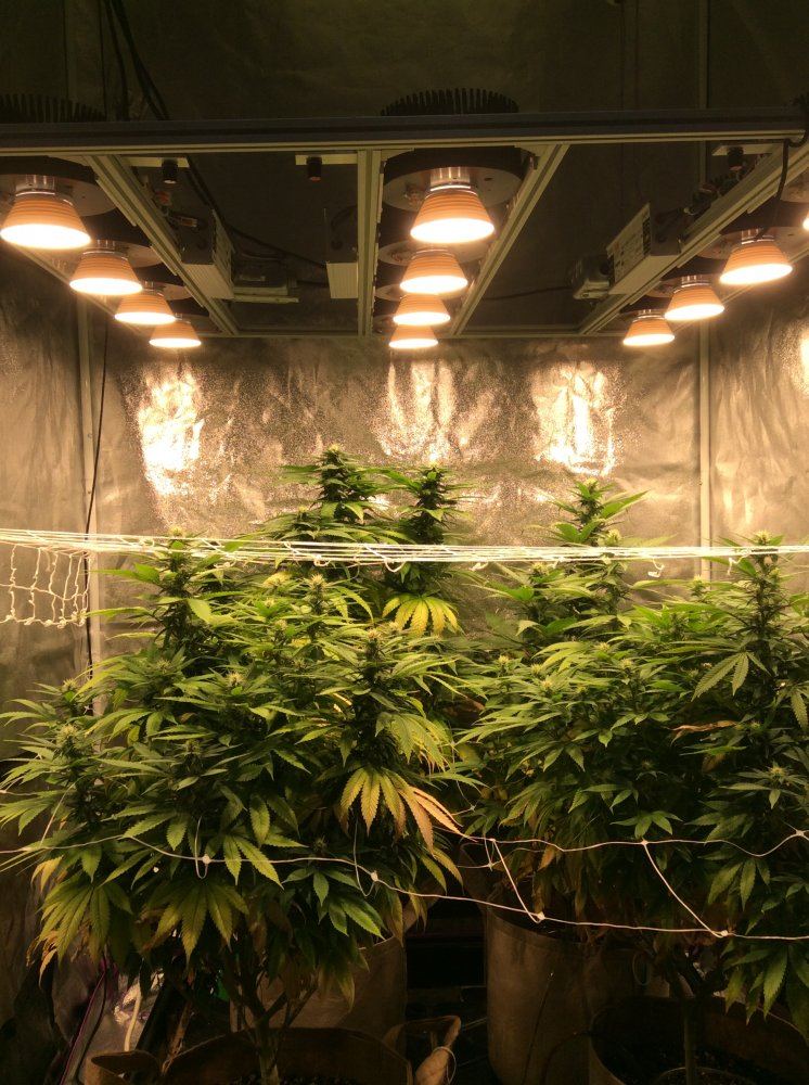 190ECD0E 8808 42E5 8875 56A50DEEB50B