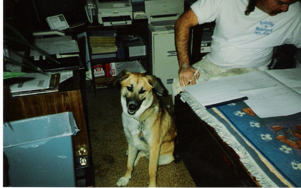 1995