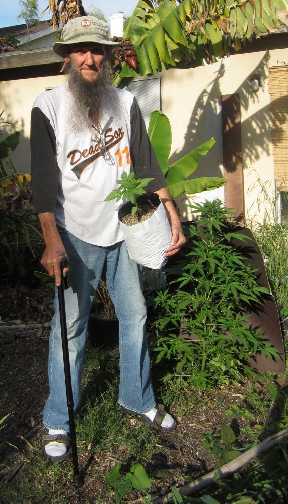 1aaTwoKindPlants