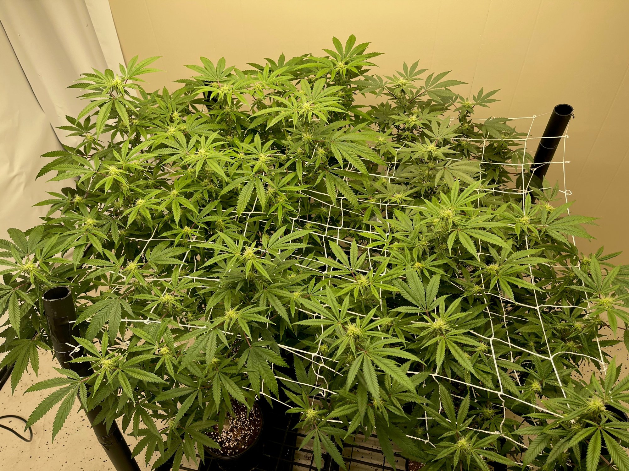 1day21