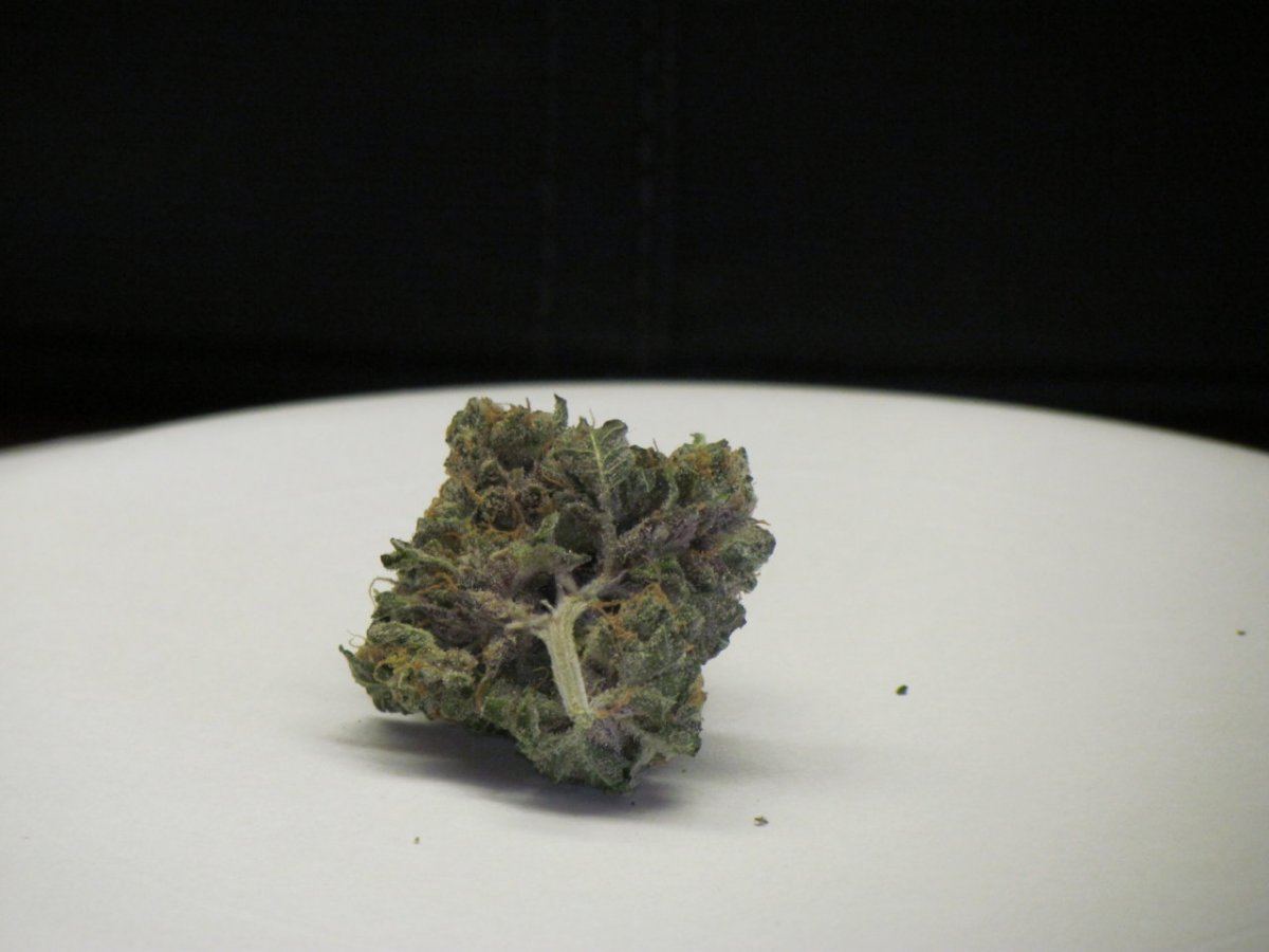 1QB pheno 1 dry 010