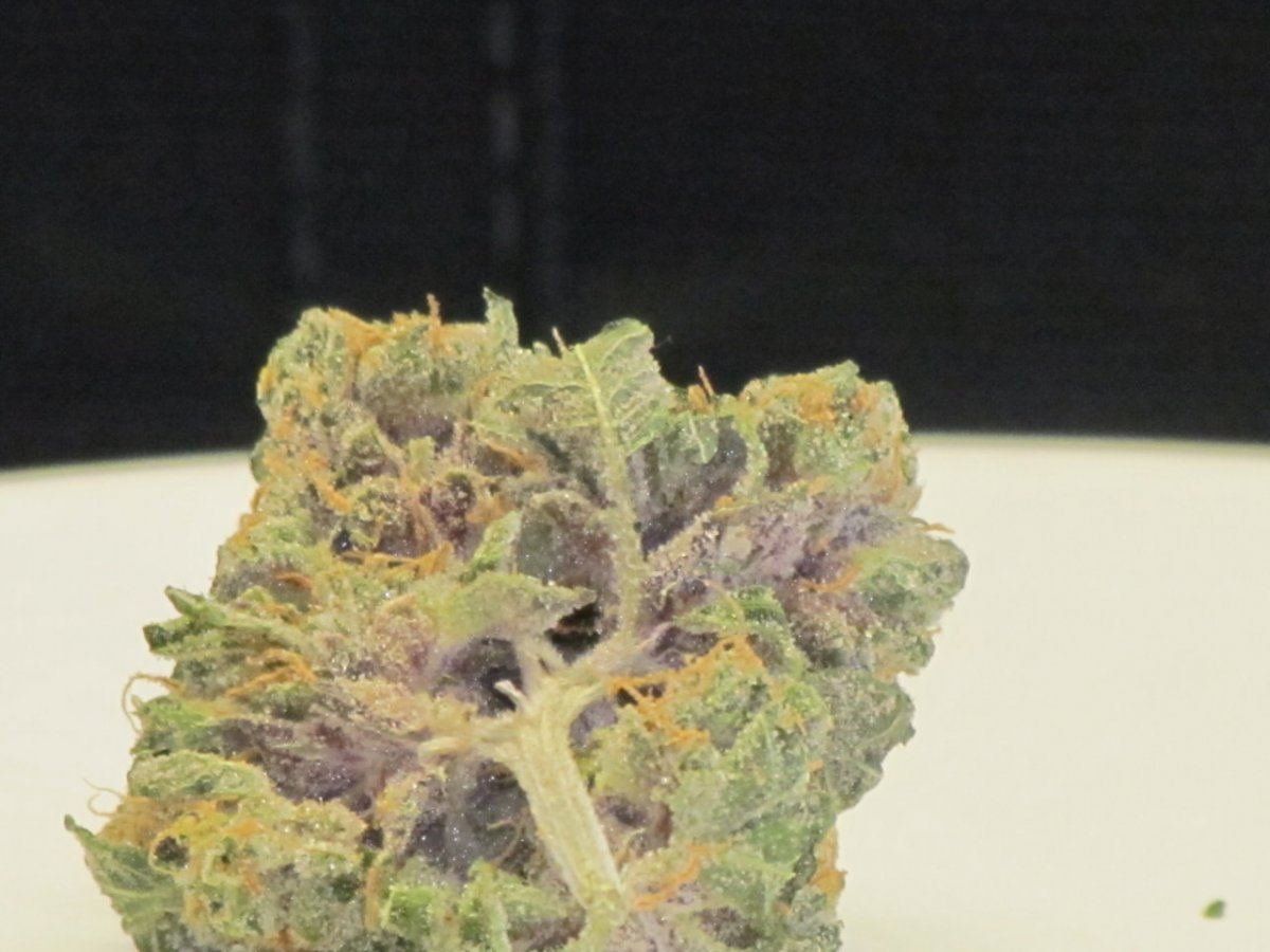 1QB pheno 1 dry 012