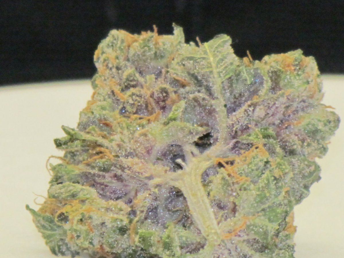 1QB pheno 1 dry 014