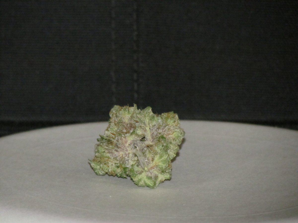 1QB pheno 1 dry 015