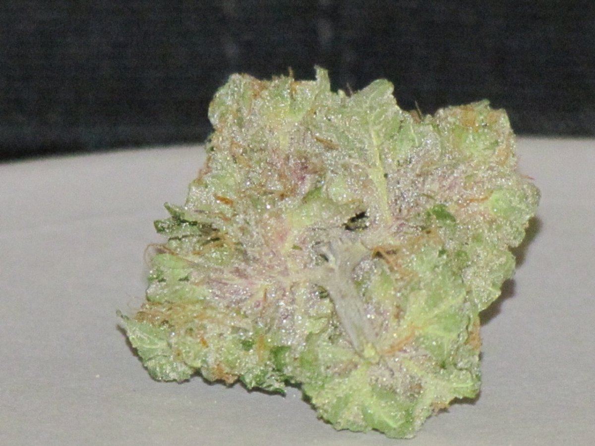 1QB pheno 1 dry 016