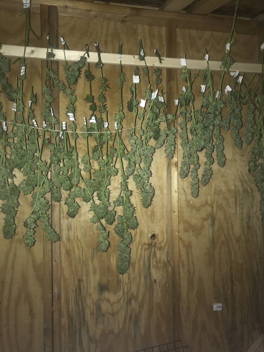 1st dry