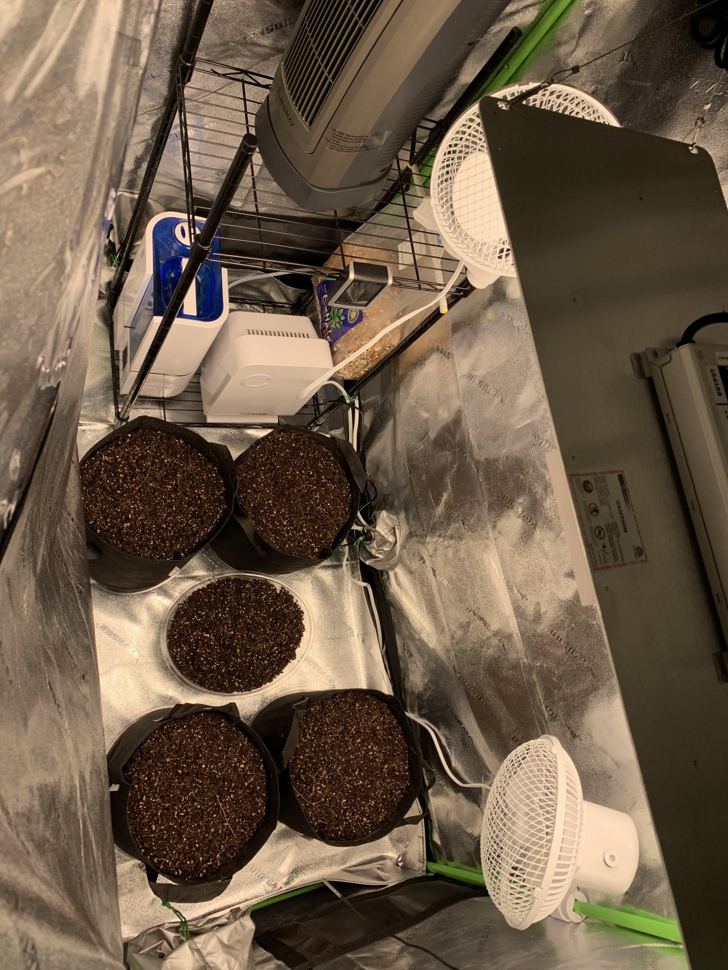 1st grow with coco coir id love advice about nutrients 2