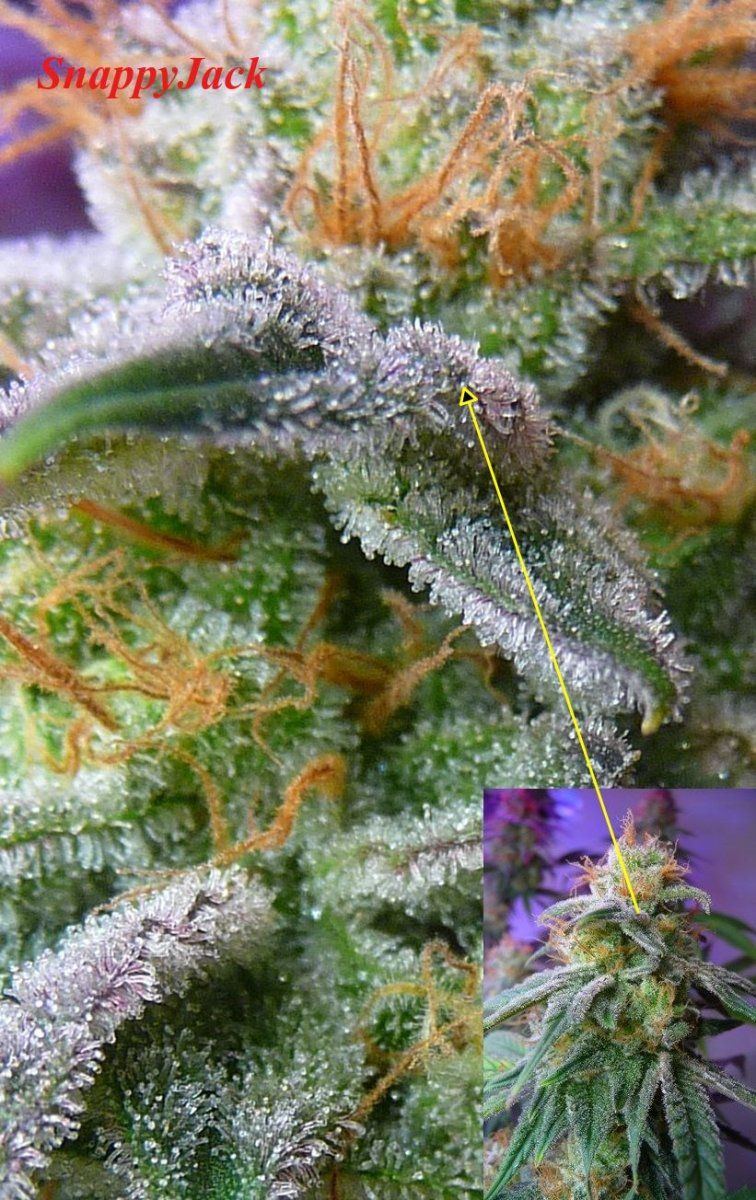 2 1 a