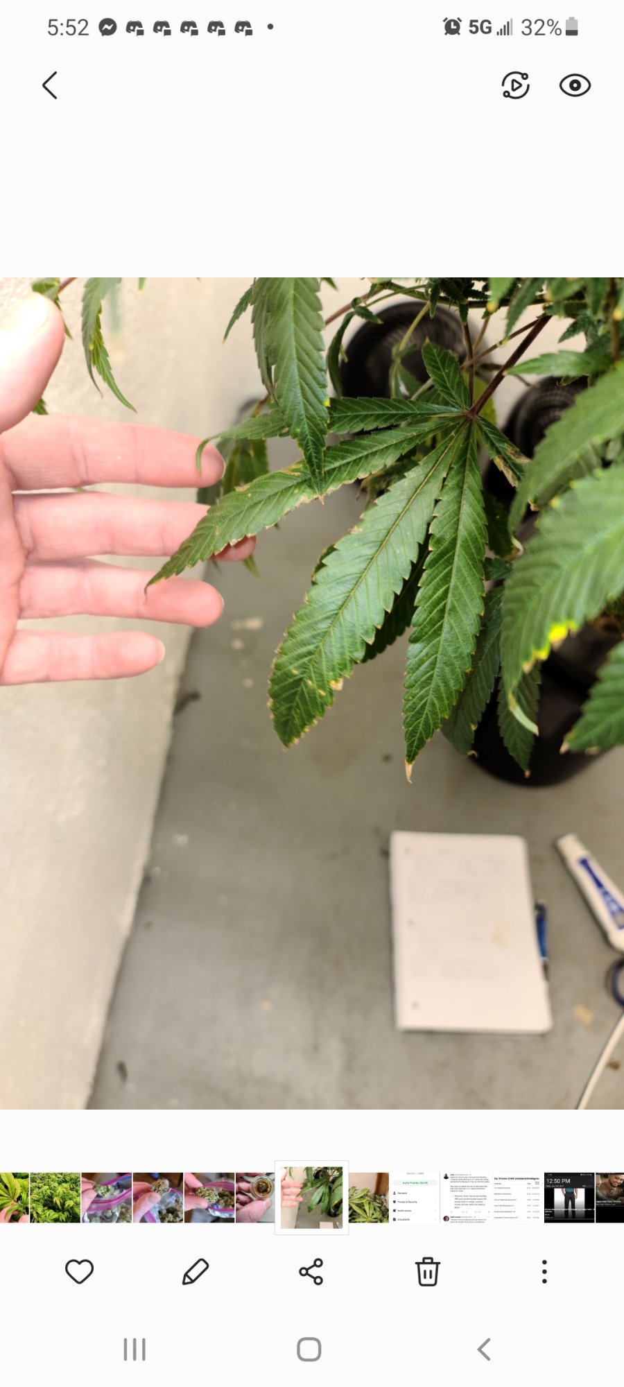 2 different grows with major issues 2