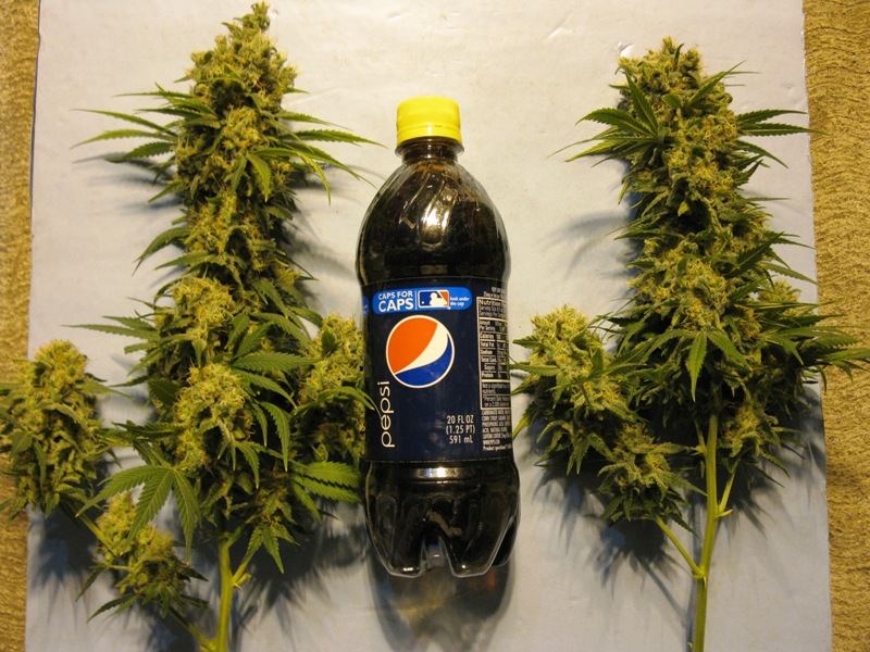 2 liter colas
