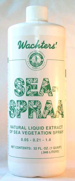 2000
