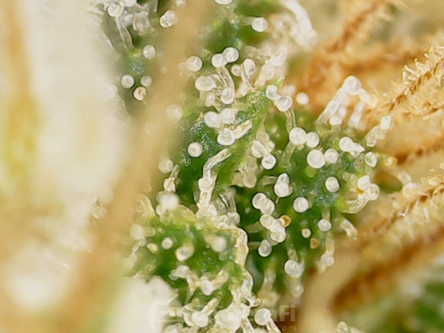 200513 154656