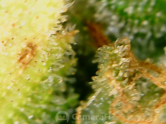 200629 002857