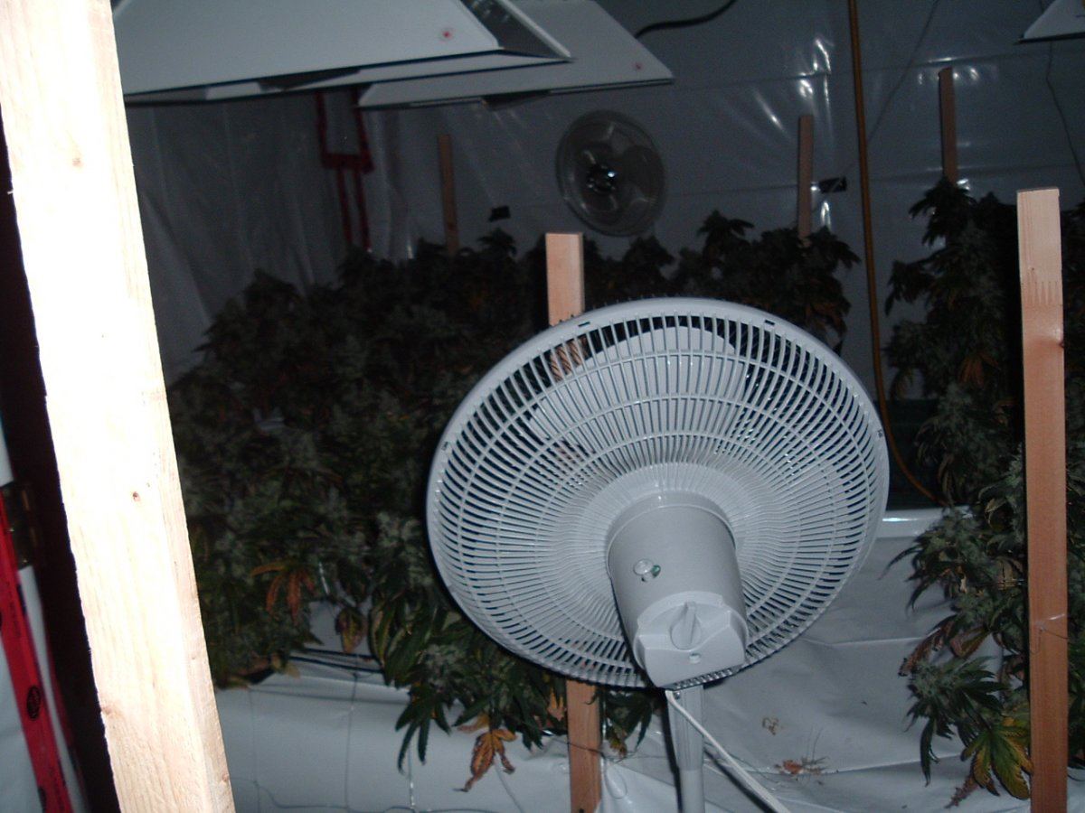 2007 2008 medman grow journal 522