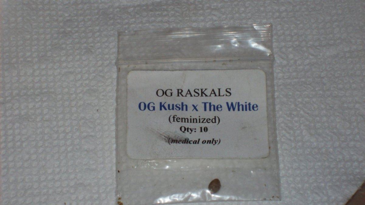 2008wifi 001