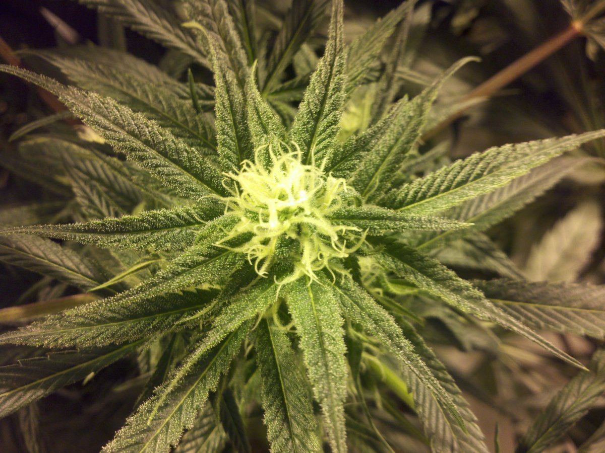2011 01 03 14 54 37 5821