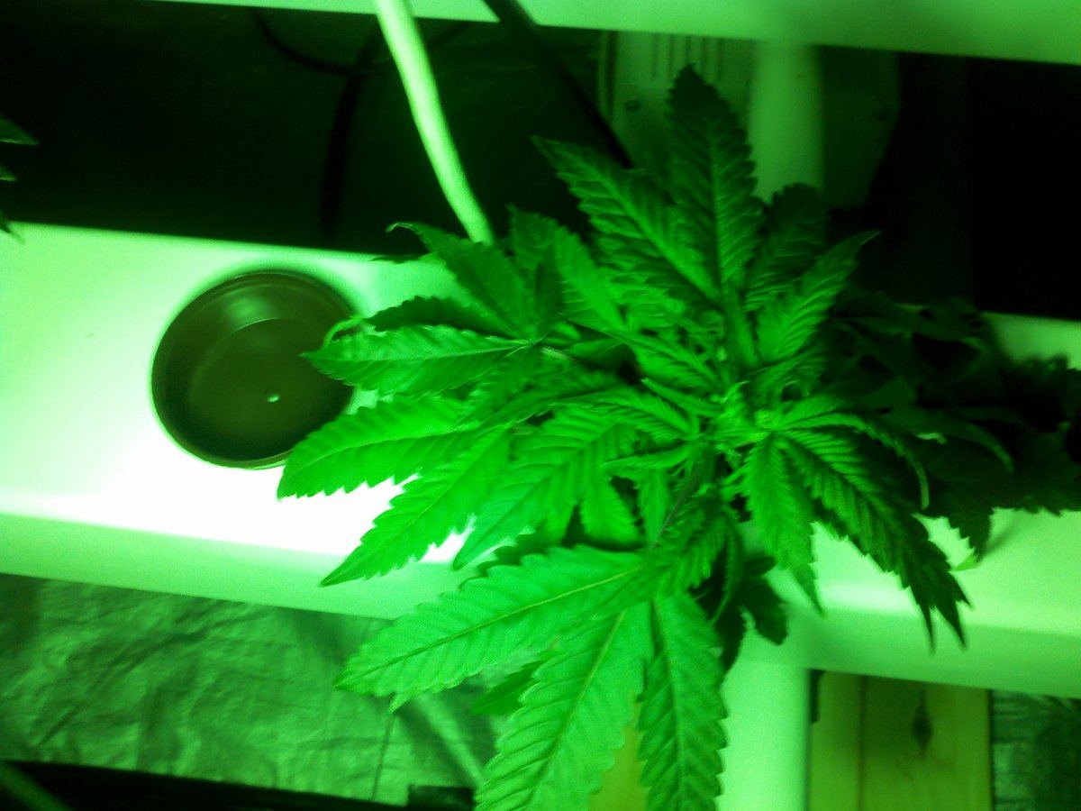 2011 01 03 15 35 28 2901