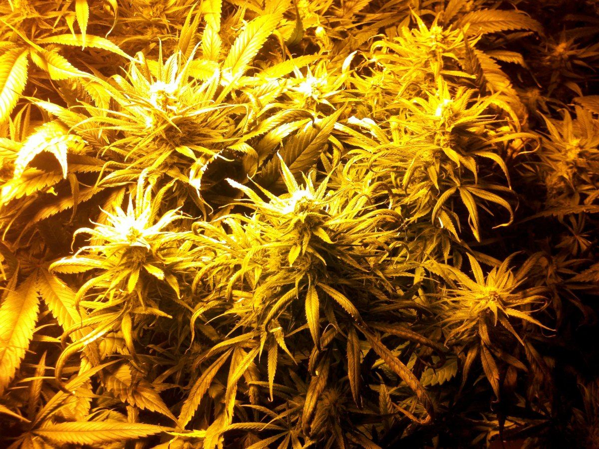 2011 01 04 12 40 35 5111