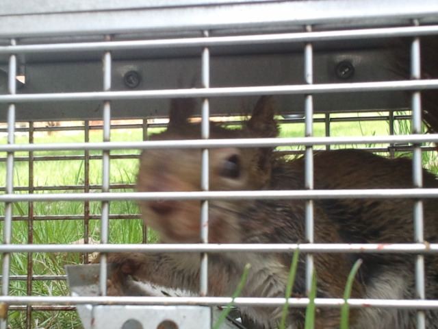 2011 04 30 123427