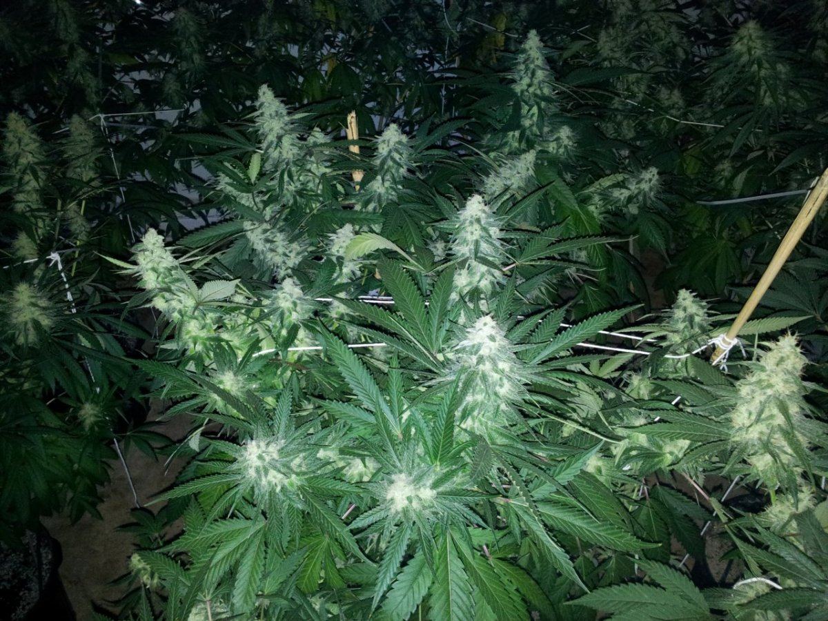 2011 11 13 071529