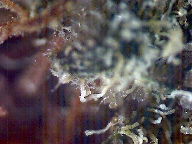 2011 09 02 04 36 50 974