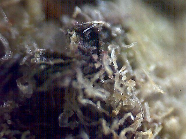 2011 09 02 04 37 10 095