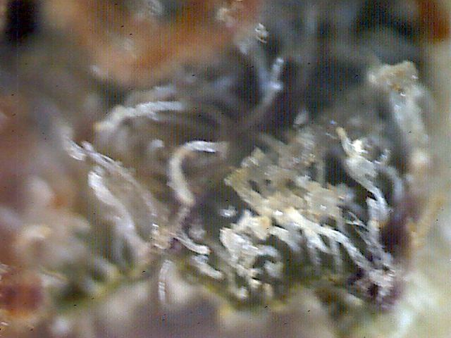 2011 09 02 04 50 30 109