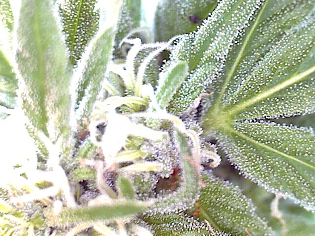 2011 09 03 09 18 46 174