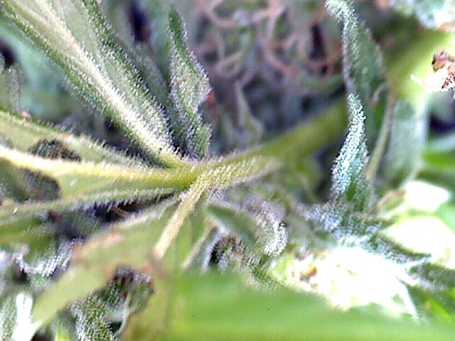 2011 09 03 09 19 46 582
