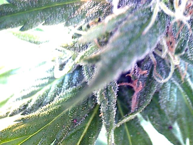 2011 09 03 09 22 59 196