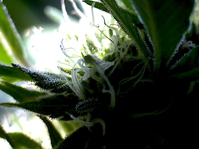 2011 09 03 09 23 12 798