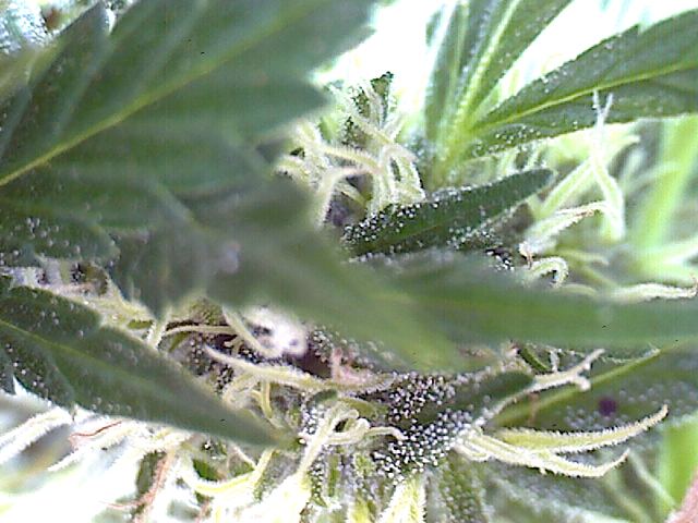 2011 09 03 09 23 27 198