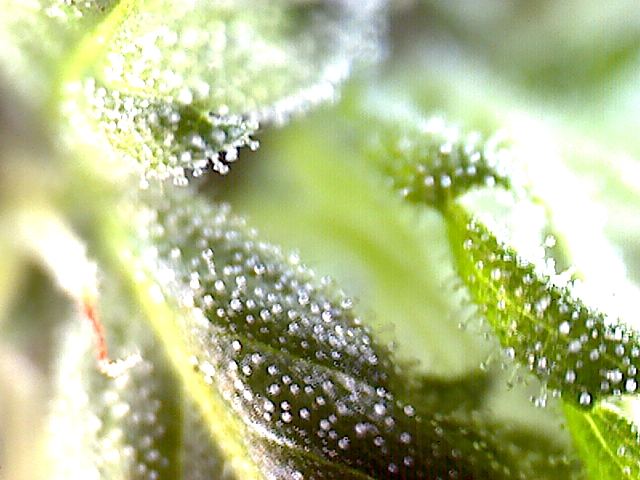 2011 09 03 09 40 06 185