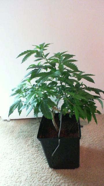 2012 03 24 00 04 10858